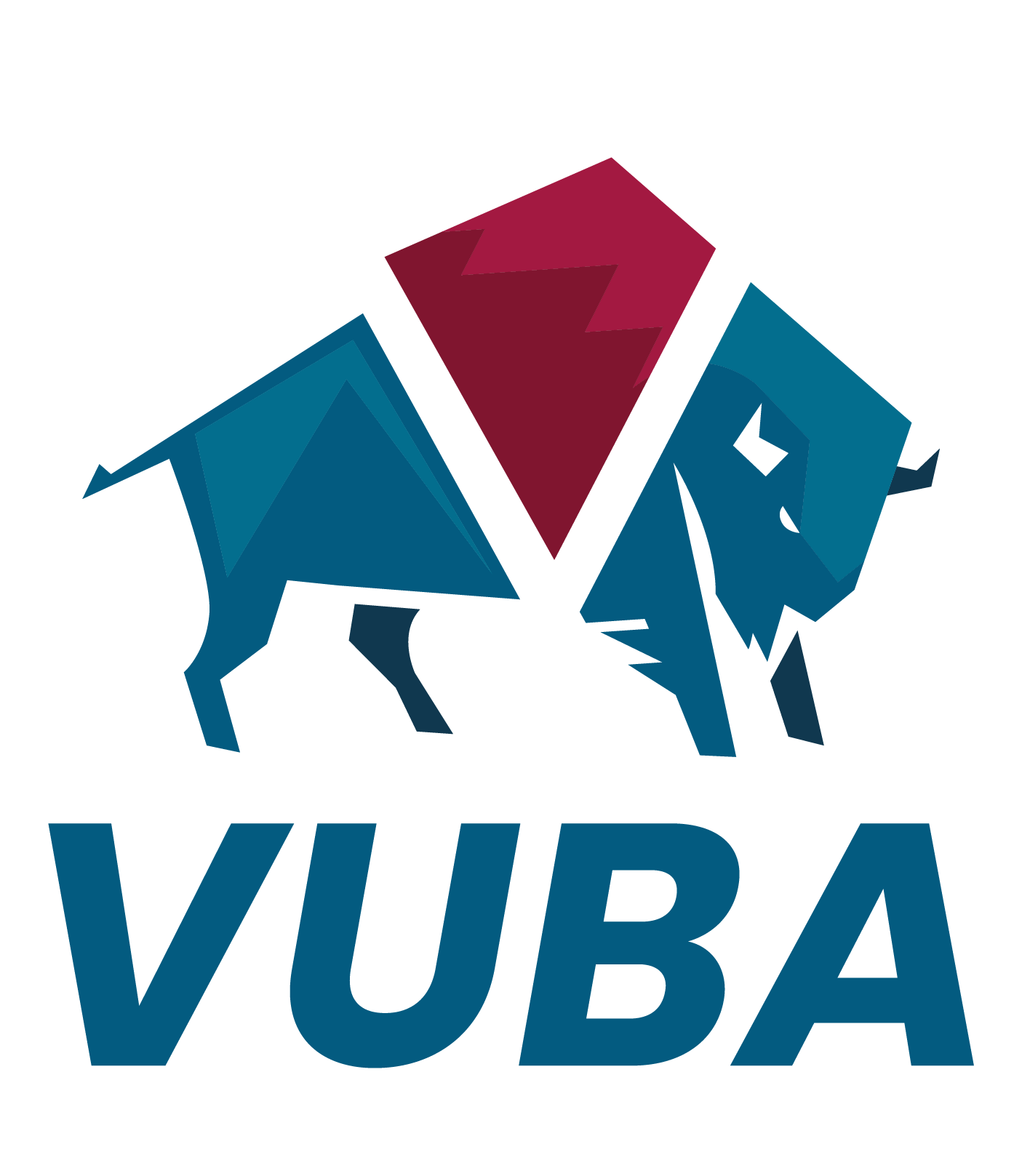 Vuba Surfaces